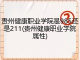 贵州健康职业学院是985还是211(贵州健康职业学院属性)