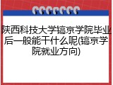 陕西科技大学镐京学院毕业后一般能干什么呢(镐京学院就业方向)