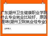广东潮州卫生健康职业学院什么专业就业比较好，原因是啥(潮州卫院就业佳专业)