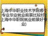 上海中华职业技术学院哪个专业毕业就业前景比较好(上海中华职院就业前景好专业)