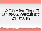 青岛黄海学院的口碑如何，现在怎么样了(青岛黄海学院口碑现状)
