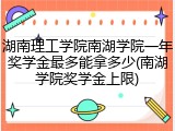 湖南理工学院南湖学院一年奖学金最多能拿多少(南湖学院奖学金上限)