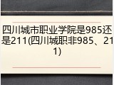 四川城市职业学院是985还是211(四川城职非985、211)