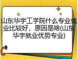 山东华宇工学院什么专业就业比较好，原因是啥(山东华宇就业优势专业)