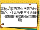 攀枝花攀西职业学院的校史简介，什么历史与社会背景下建校的(攀西职院校史背景)