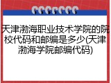 天津渤海职业技术学院的院校代码和邮编是多少(天津渤海学院邮编代码)