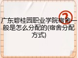 广东碧桂园职业学院宿舍一般是怎么分配的(宿舍分配方式)