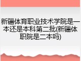 新疆体育职业技术学院是一本还是本科第二批(新疆体职院是二本吗)