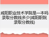 咸阳职业技术学院是一本吗录取分数线多少(咸阳职院录取分数线)