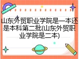 山东外贸职业学院是一本还是本科第二批(山东外贸职业学院是二本)