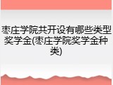 枣庄学院共开设有哪些类型奖学金(枣庄学院奖学金种类)