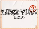 保山职业学院是专科还是本科院校呢(保山职业学院学历层次)