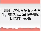 贵州城市职业学院有多少学生，师资力量如何(贵州城职院师生规模)