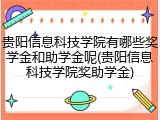 贵阳信息科技学院有哪些奖学金和助学金呢(贵阳信息科技学院奖助学金)