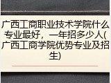 广西工商职业技术学院什么专业最好，一年招多少人(广西工商学院优势专业及招生)