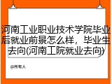 河南工业职业技术学院毕业后就业前景怎么样，毕业生去向(河南工院就业去向)