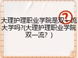 大理护理职业学院是双一流大学吗?(大理护理职业学院双一流？)