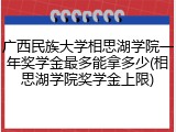 广西民族大学相思湖学院一年奖学金最多能拿多少(相思湖学院奖学金上限)