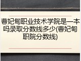 曹妃甸职业技术学院是一本吗录取分数线多少(曹妃甸职院分数线)