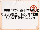 重庆安全技术职业学院知名校友有哪些，校史介绍(重庆安全职院校友校史)