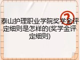 泰山护理职业学院奖学金评定细则是怎样的(奖学金评定细则)