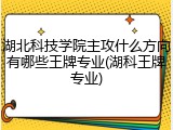 湖北科技学院主攻什么方向有哪些王牌专业(湖科王牌专业)