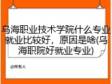 乌海职业技术学院什么专业就业比较好，原因是啥(乌海职院好就业专业)