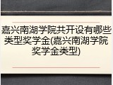 嘉兴南湖学院共开设有哪些类型奖学金(嘉兴南湖学院奖学金类型)