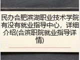 民办合肥滨湖职业技术学院有没有就业指导中心，详细介绍(合滨职院就业指导详情)