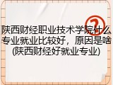 陕西财经职业技术学院什么专业就业比较好，原因是啥(陕西财经好就业专业)
