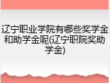 辽宁职业学院有哪些奖学金和助学金呢(辽宁职院奖助学金)