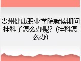 贵州健康职业学院就读期间挂科了怎么办呢？(挂科怎么办)