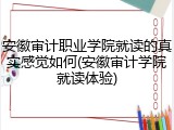 安徽审计职业学院就读的真实感觉如何(安徽审计学院就读体验)