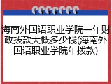 海南外国语职业学院一年财政拨款大概多少钱(海南外国语职业学院年拨款)
