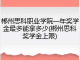 郴州思科职业学院一年奖学金最多能拿多少(郴州思科奖学金上限)