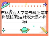 吉林农业大学是专科还是本科院校呢(吉林农大是本科吗)