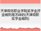天津商务职业学院奖学金评定细则是怎样的(天津商职奖学金细则)