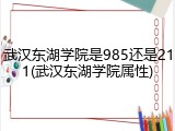 武汉东湖学院是985还是211(武汉东湖学院属性)