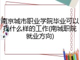南京城市职业学院毕业可以找什么样的工作(南城职院就业方向)
