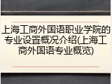 上海工商外国语职业学院的专业设置概况介绍(上海工商外国语专业概览)