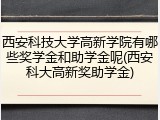 西安科技大学高新学院有哪些奖学金和助学金呢(西安科大高新奖助学金)