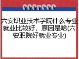 六安职业技术学院什么专业就业比较好，原因是啥(六安职院好就业专业)