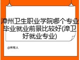 漳州卫生职业学院哪个专业毕业就业前景比较好(漳卫好就业专业)