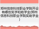 郑州信息科技职业学院开设有哪些奖学和助学金(郑州信息科技职业学院奖助学金)