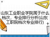 山东工业职业学院属于什么档次，专业排行分析(山东工职院档次专业排行)