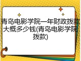 青岛电影学院一年财政拨款大概多少钱(青岛电影学院拨款)