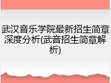 武汉音乐学院最新招生简章深度分析(武音招生简章解析)