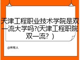 天津工程职业技术学院是双一流大学吗?(天津工程职院双一流？)
