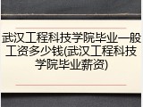 武汉工程科技学院毕业一般工资多少钱(武汉工程科技学院毕业薪资)