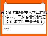 云南能源职业技术学院有哪些专业，王牌专业分析(云南能源学院专业分析)